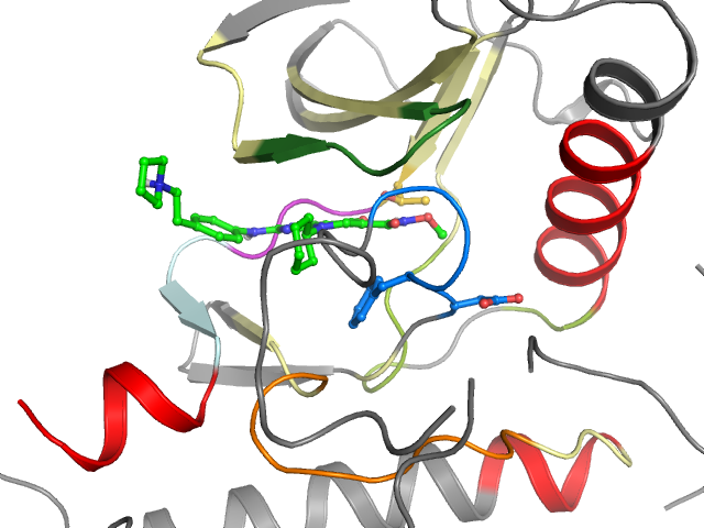 The orthosteric binding pocket