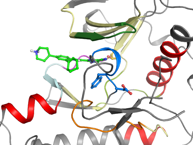 The orthosteric binding pocket