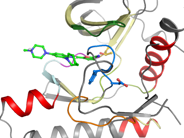 The orthosteric binding pocket
