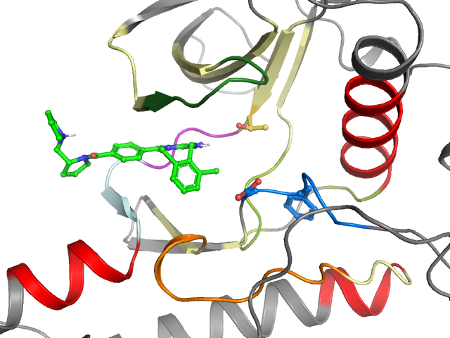 The orthosteric binding pocket