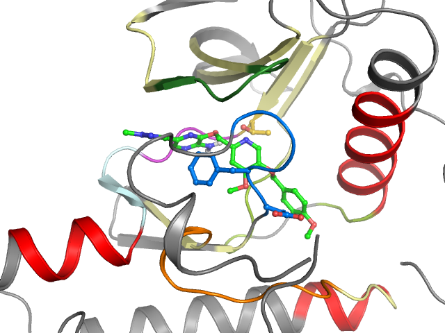 The orthosteric binding pocket