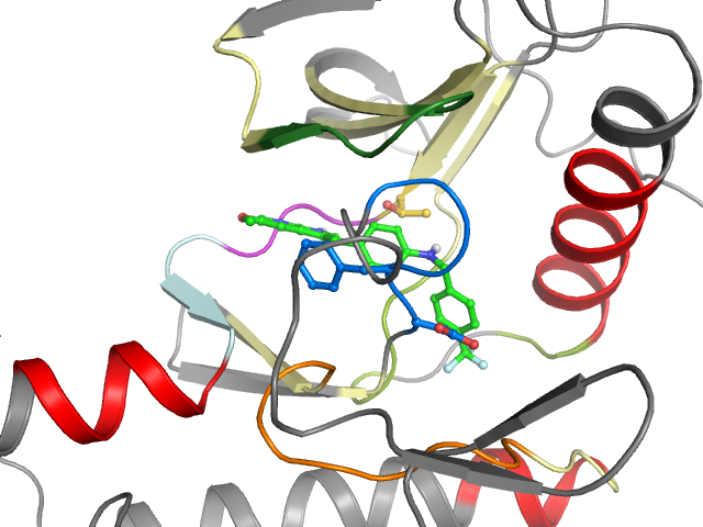 The orthosteric binding pocket