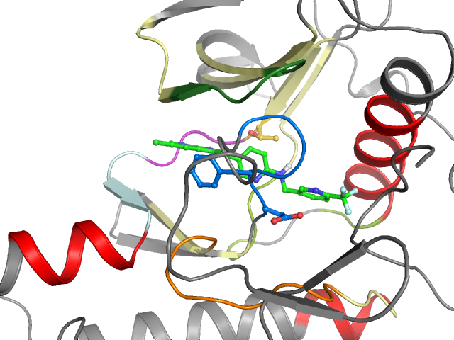 The orthosteric binding pocket