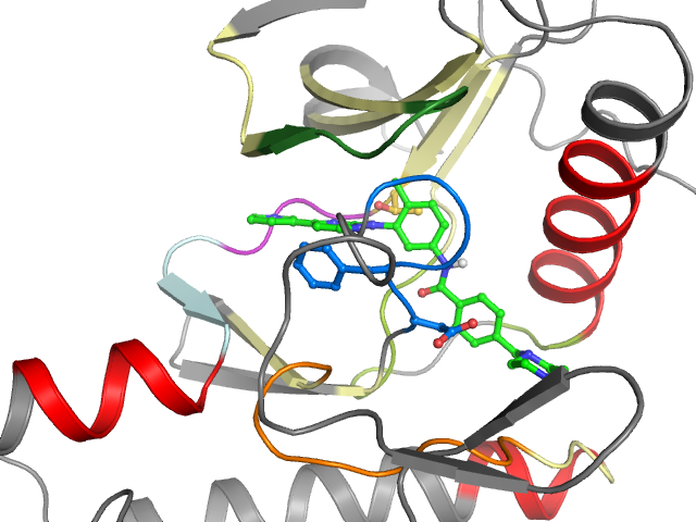 The orthosteric binding pocket