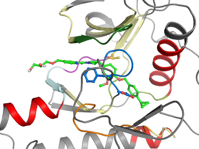 The orthosteric binding pocket