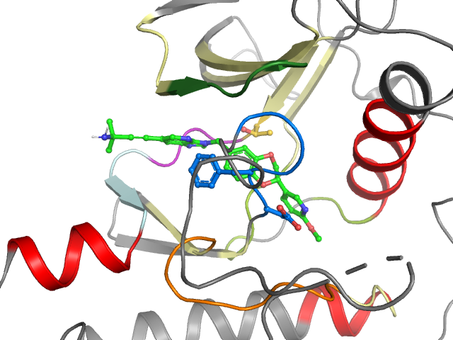 The orthosteric binding pocket