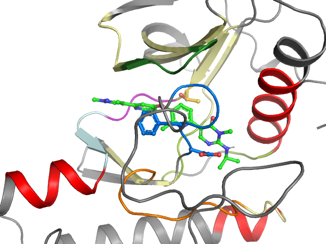 The orthosteric binding pocket