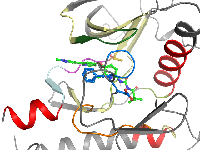 The orthosteric binding pocket