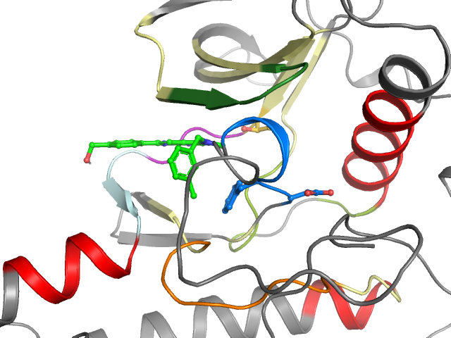 The orthosteric binding pocket