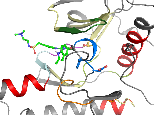 The orthosteric binding pocket