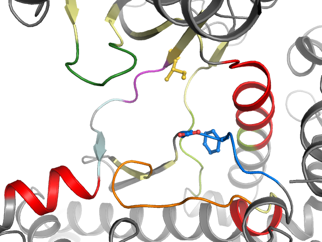 The orthosteric binding pocket