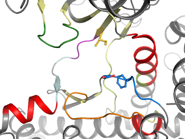 The orthosteric binding pocket