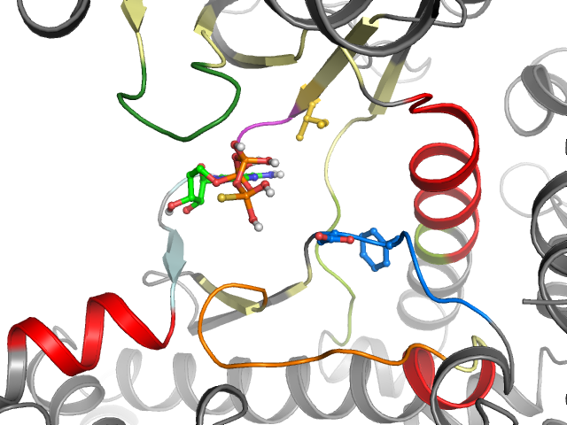 The orthosteric binding pocket