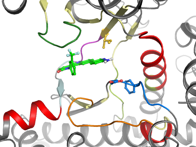 The orthosteric binding pocket