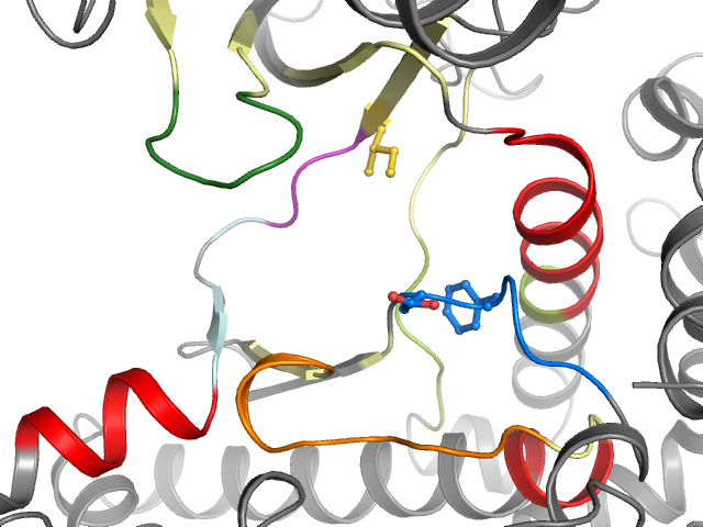 The orthosteric binding pocket