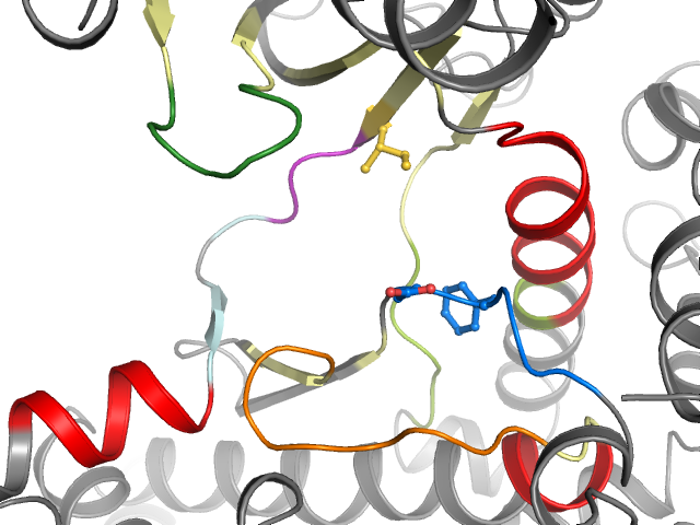 The orthosteric binding pocket