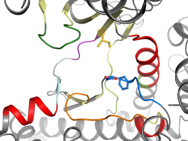 The orthosteric binding pocket