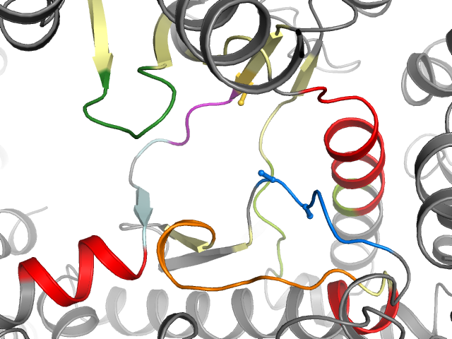 The orthosteric binding pocket