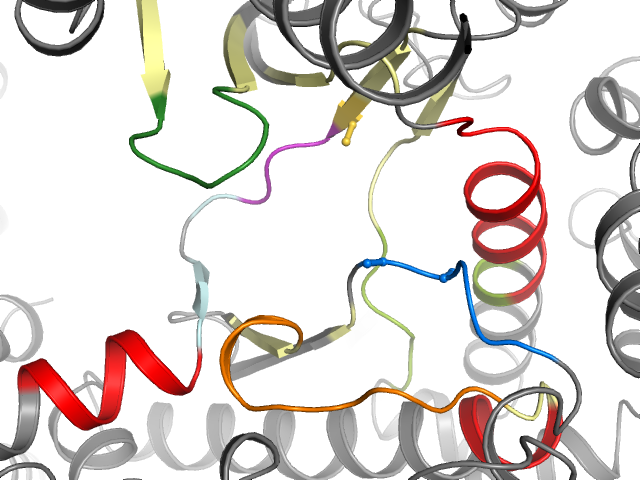 The orthosteric binding pocket