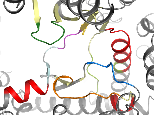 The orthosteric binding pocket