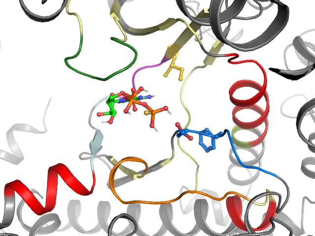 The orthosteric binding pocket