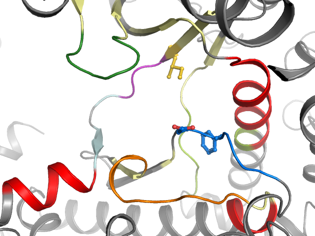 The orthosteric binding pocket