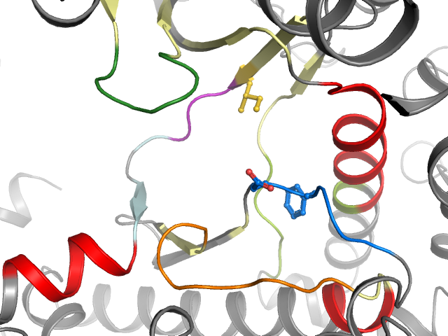 The orthosteric binding pocket