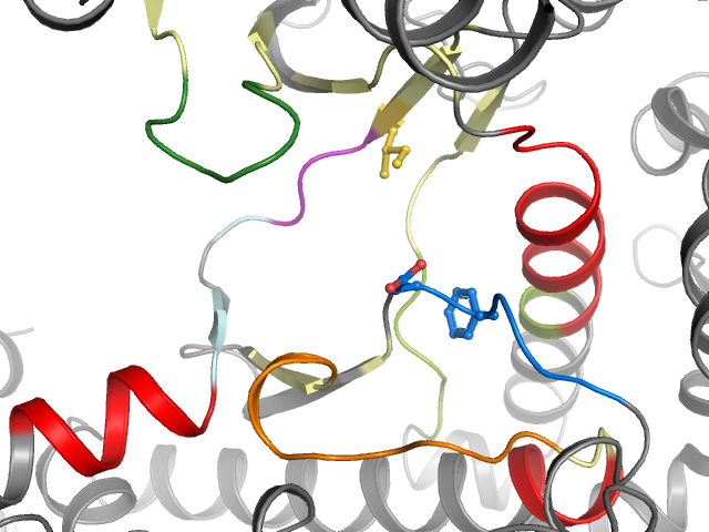 The orthosteric binding pocket