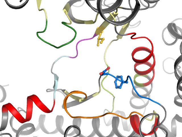The orthosteric binding pocket