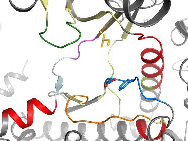 The orthosteric binding pocket