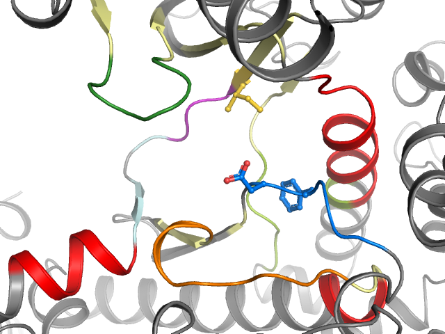 The orthosteric binding pocket
