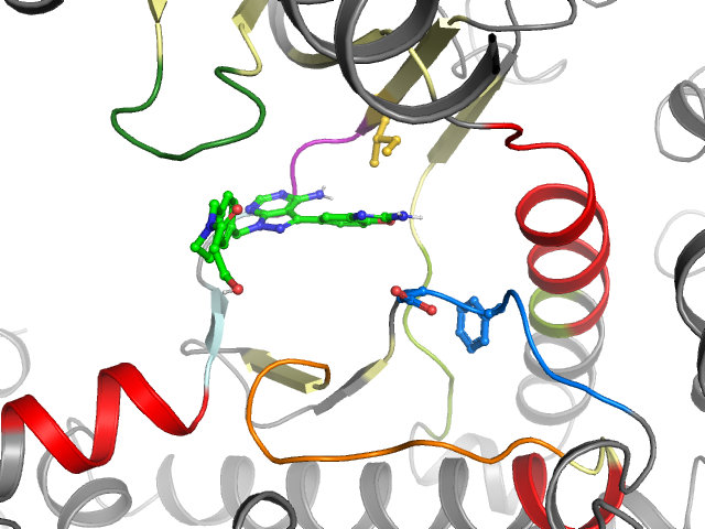The orthosteric binding pocket