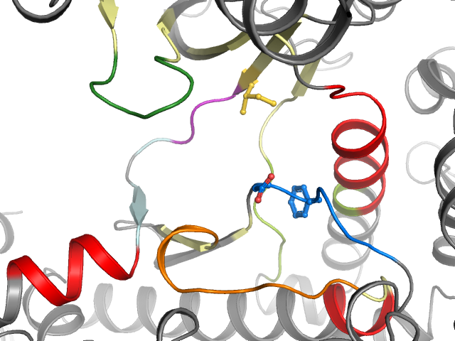 The orthosteric binding pocket