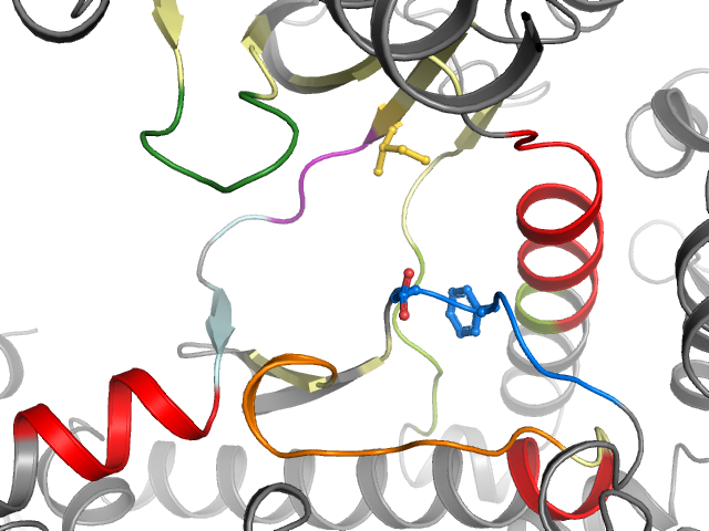 The orthosteric binding pocket