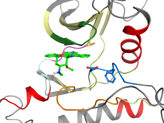 The orthosteric binding pocket