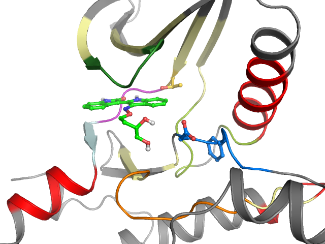The orthosteric binding pocket