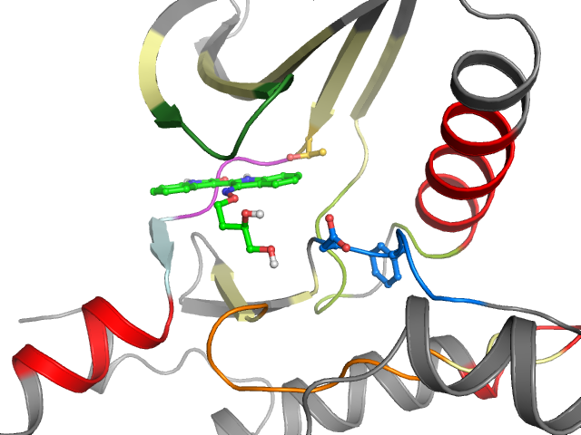 The orthosteric binding pocket