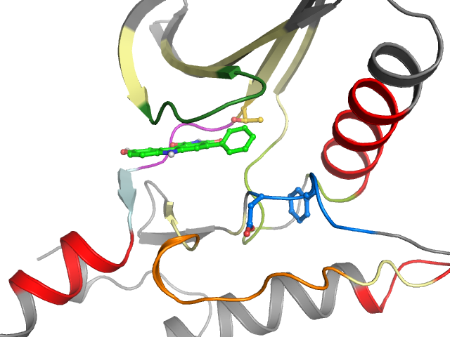 The orthosteric binding pocket