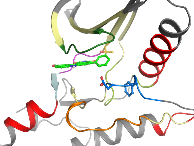 The orthosteric binding pocket