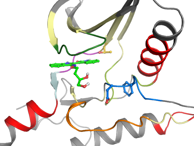 The orthosteric binding pocket