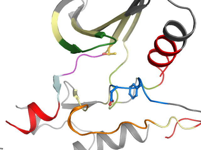 The orthosteric binding pocket