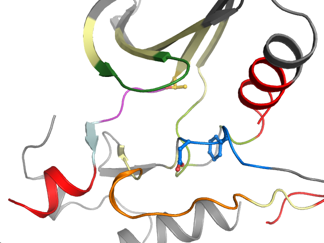 The orthosteric binding pocket