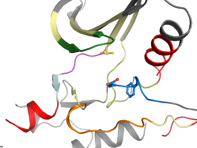 The orthosteric binding pocket