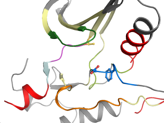 The orthosteric binding pocket