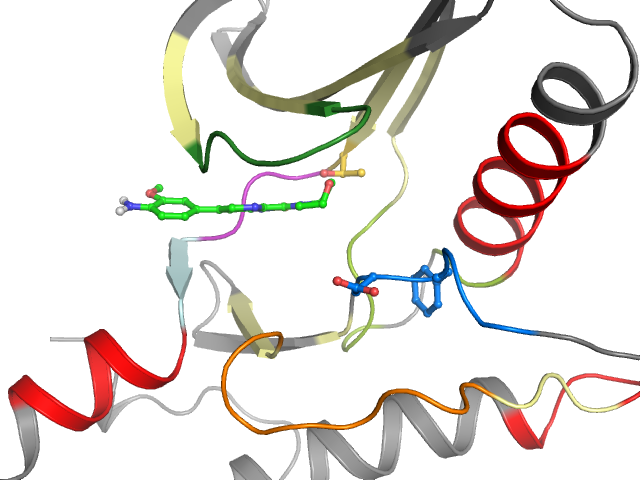 The orthosteric binding pocket