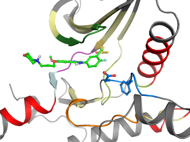 The orthosteric binding pocket