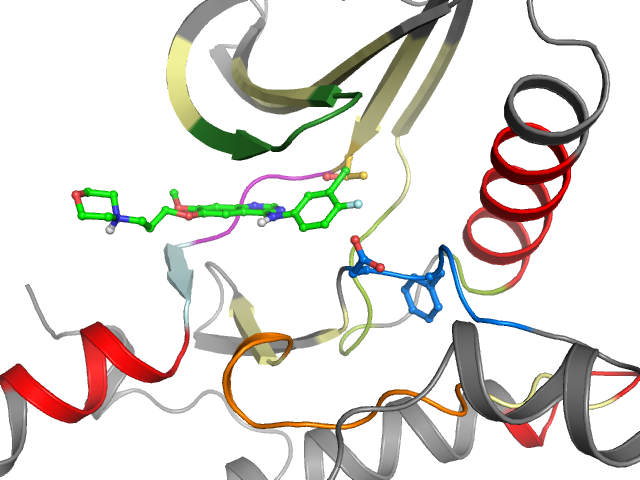 The orthosteric binding pocket