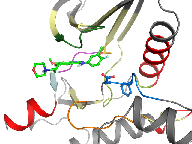 The orthosteric binding pocket
