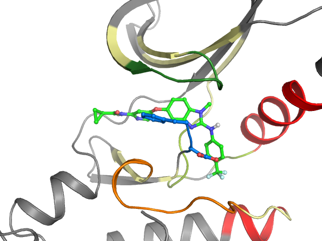 The orthosteric binding pocket