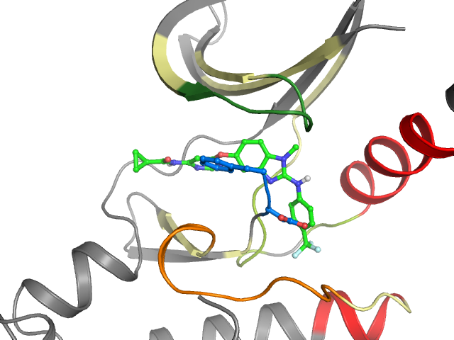 The orthosteric binding pocket